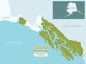 The Tongass National Forest could resume allowing logging in roadless areas under a court ruling. But it won't happen immediately -- or at all. (U.S. Forest Service Photo)