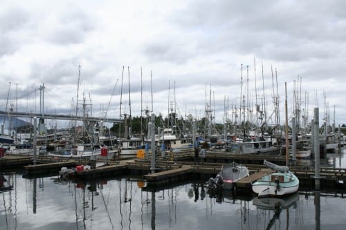 Sitka's ANB Harbor, home to many local trollers. (KCAW photo/Greta Mart)