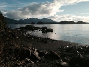 The Sitka Sound Science Center is part of a project called MARINe, which is a consortium of agencies on the West Coast that use the same longterm monitoring methods. Sage Beach is one of Sitka's three MARINe sites. (Photo by Anne Brice)