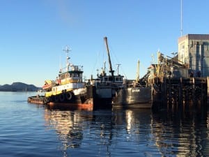 The tugboat Marauder brought the Eyak in to Sitka Sound Seafoods on Friday, January 30. (Photo courtesy of Darren Heath)