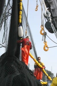 Crew aboard the Sitka-based F/V Pillar Bay tend to the net after the closure of the 2012 herring season. (KCAW file photo)