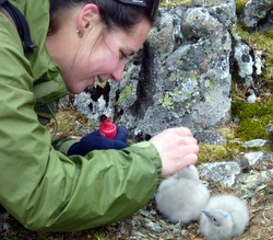 “Rhino” study explores biological success under pressure