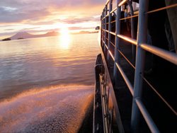 Scavenger hunts and summer camps at SSSC