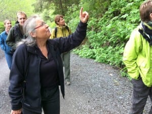 Sitka resident and Tlingit weaver Teri Rofkar takes staff from the National Museum of the American Indian up Blue Lake Road. The group was in town for field study, learning about the origins of many of the objects they keep track of in Washington, D.C. (KCAW photo/Ed Ronco)