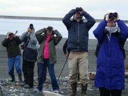 Yakutat festival features Native DNA research