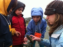Sitka camp delivers science to young learners