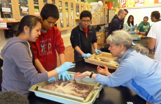 Sitka students learn how to take apart an octopus