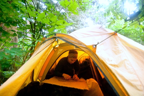 By day, Will returns to camp to record data. The number crunching happens at UAF in the fall. (SCS photo/Matt Dolkas.)