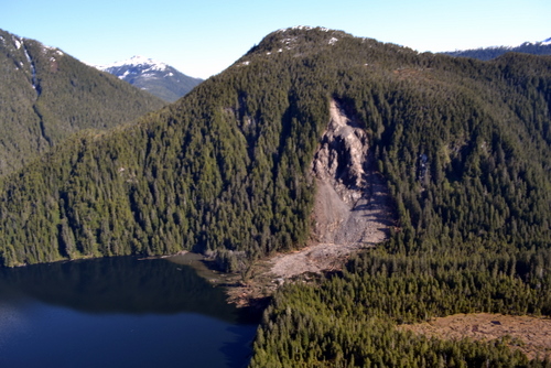 The slide at the head of Redoubt Lake, photographed in late May. The lake itself is to the left; the new lake is flooding the wooded area to the right. At present, the extent of the flooding is about 55 acres. (USFS photo)