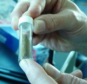 Ron Heintz holds a test tube of powdered groundfish at the Alaska Fisheries Science Center.