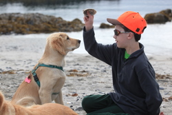 Help sought for service dog’s surgery bill