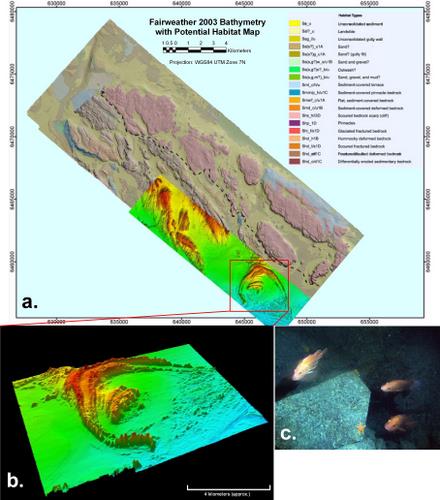 A benthic map of the Fairweather Grounds. (Gary Greene)
