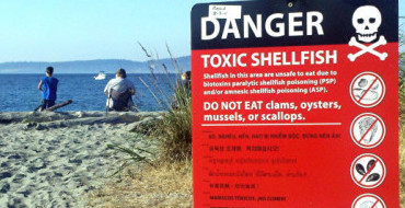 Shellfish poisonings sicken two Sitkans