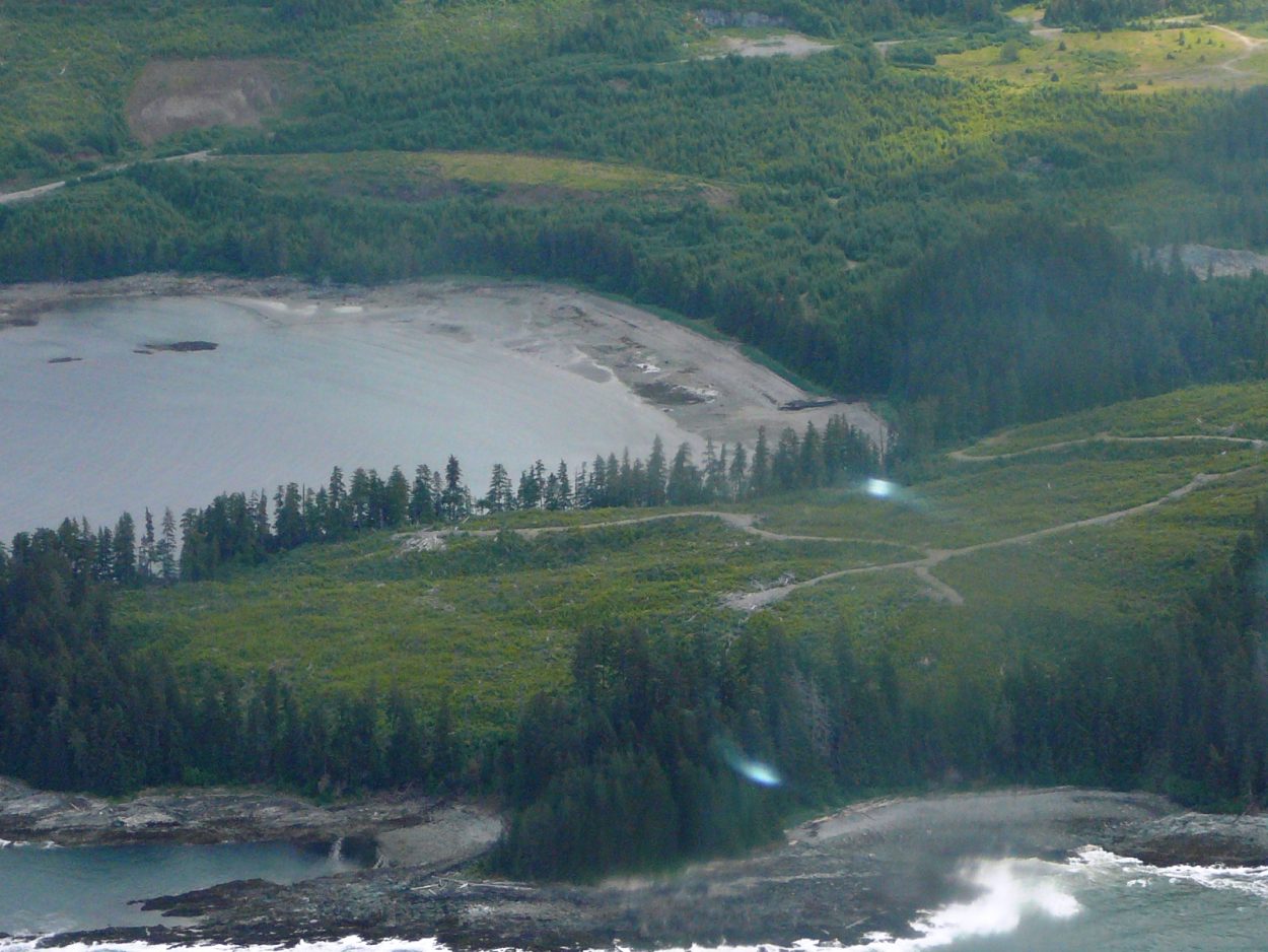 Can logging switch to second-growth sooner?