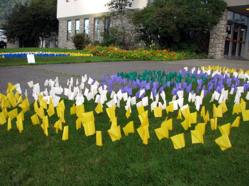 The Sitka Domestic Violence Task Force has installed flags on the courthouse lawn to represent the annual impact of DV in Sitka.