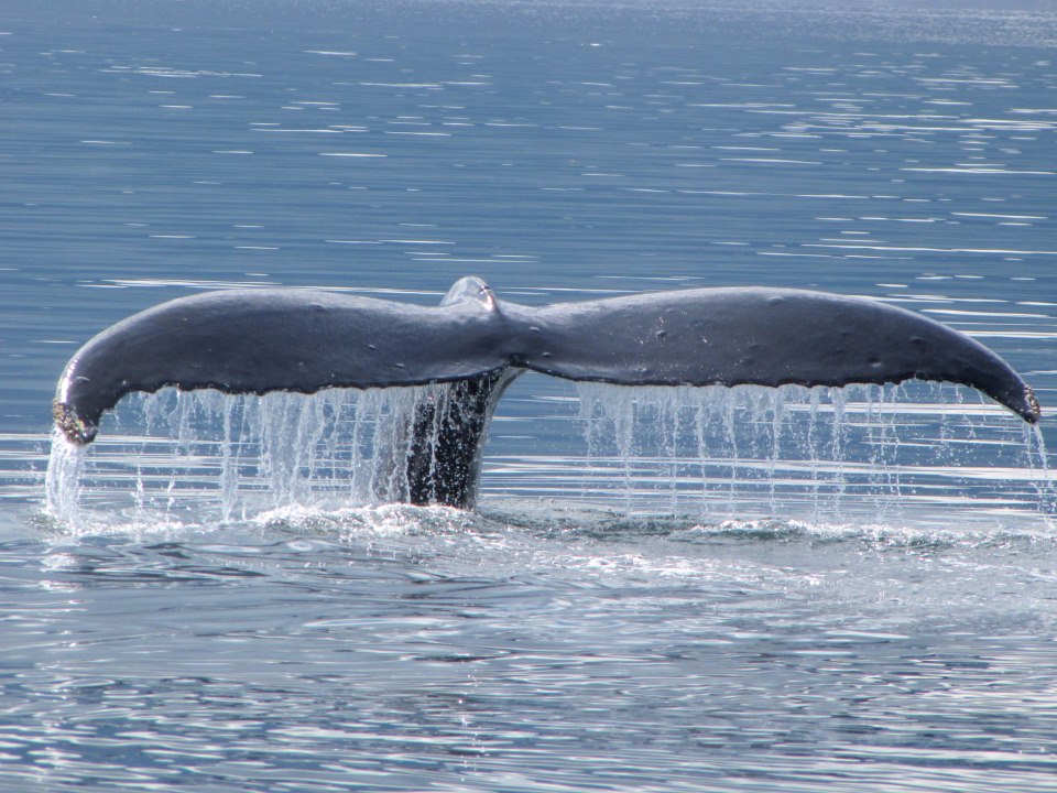 Congrats to our drawing winners!