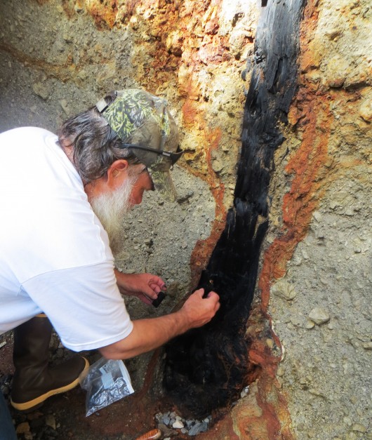 Forest Service Geologist Jim Baichtal samples the charcoal tree found embedded in pumice on Kruzof Island, near Sitka. (Courtesy Kitty LaBounty)