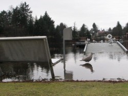 Flooding at Swan Lake covers the dock ramp. (KCAW photo/Emily Forman)