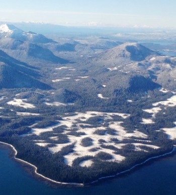 Measure calls for Tongass timber transfer