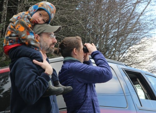 Eric and Erin Matthes brought their son, Ever, to join dozens of Sitkans watching the opening of the sac roe herring season on Thursday (3-20-14). Ever is a true "herring baby," said his parents. Born during herring season, he'll turn three on Friday. (KCAW photo/Rachel Waldholz)