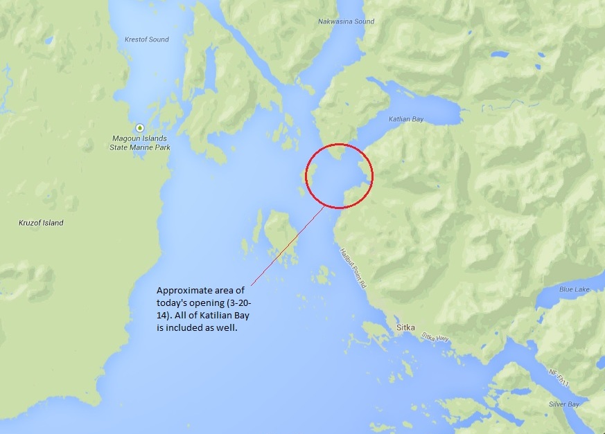 ADF&G to open herring fishing in Starrigavan, Katlian bays