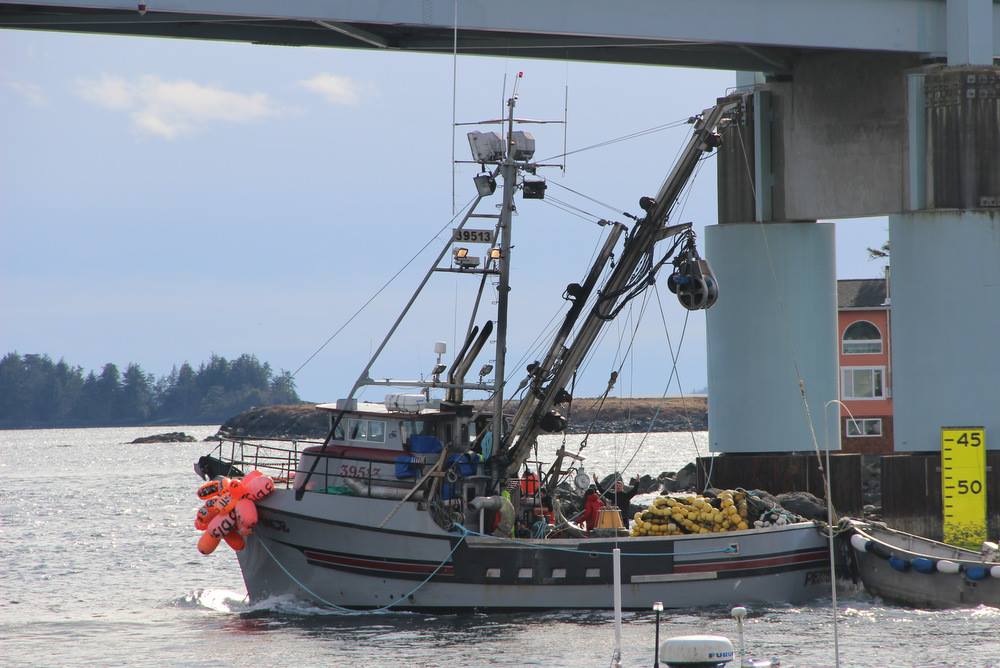 No herring fishing today; second opening possible Sunday