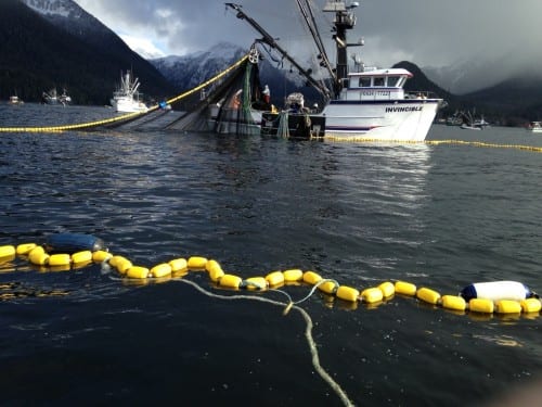 Photo courtesy of Maxwell K. Johnson.