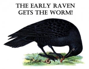 ravenworm_web