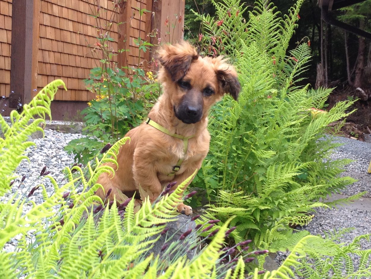 Everybody’s a new member sometime!