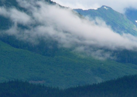Is the Tongass key to slowing climate change?