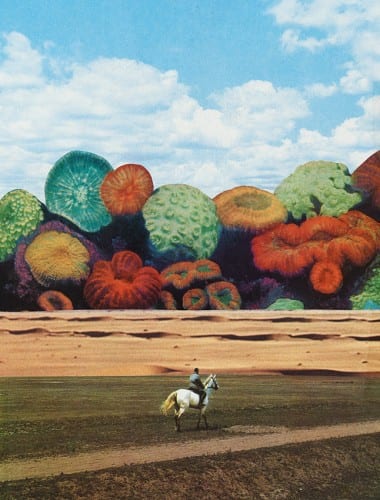 Collage by Bene Rohlmann 