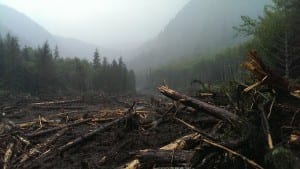 A bridge, three fish ponds, and two new culverts were buried by debris. (USFS photo)