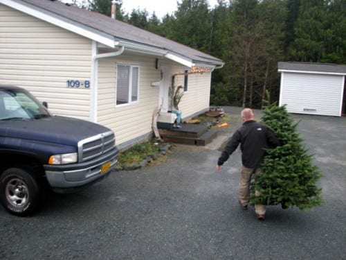 Search and Rescue Captain Lance Ewers hauled the tree out of the truck bed and brought it to the Diehl's front door. (Emily Kwong/KCAW photo)