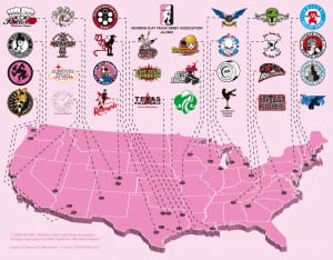 There are currently 273 member leagues and 100 apprentice leagues in the WFTDA. (Photo courtesy of WFTDA)