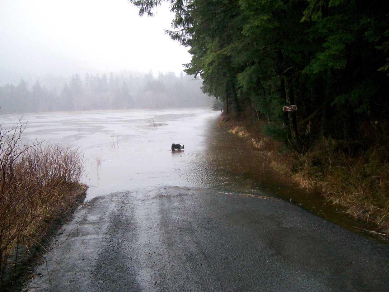 Heavy rains flood creeks, fill reservoirs