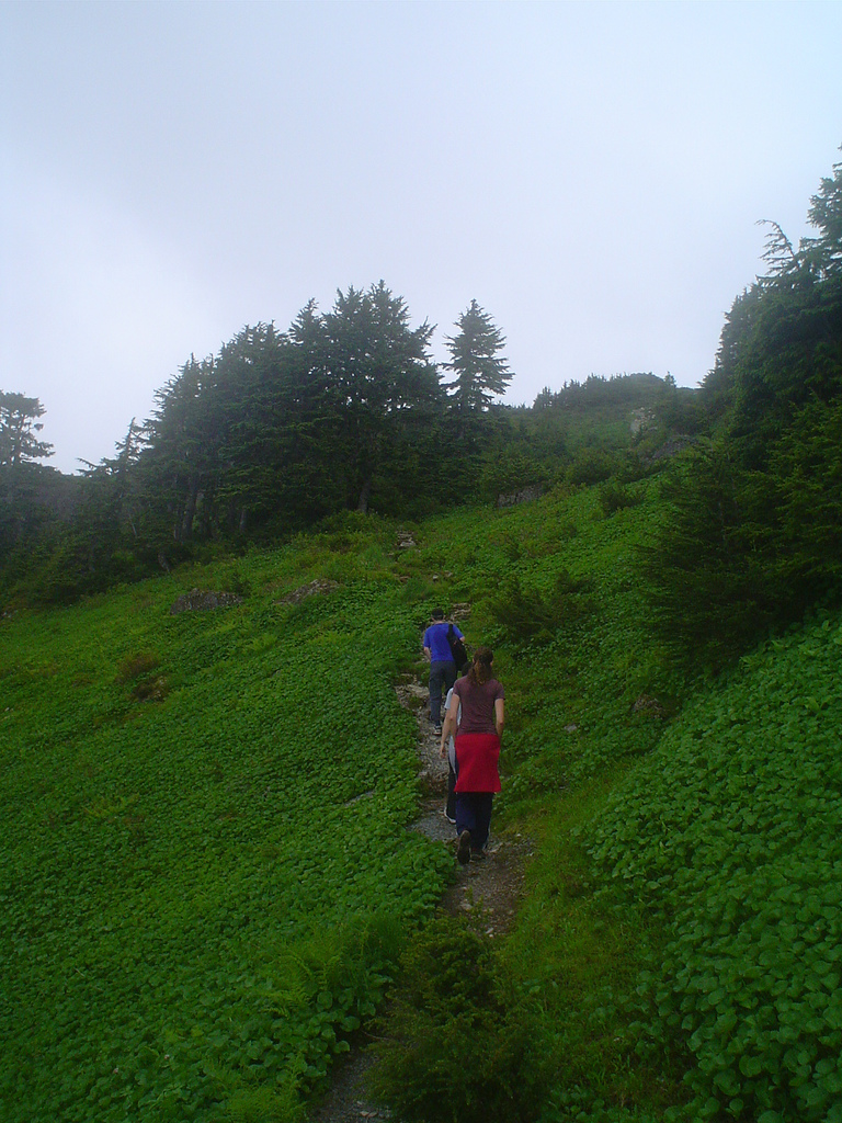 Teen safe after icy slide down Mt. Verstovia