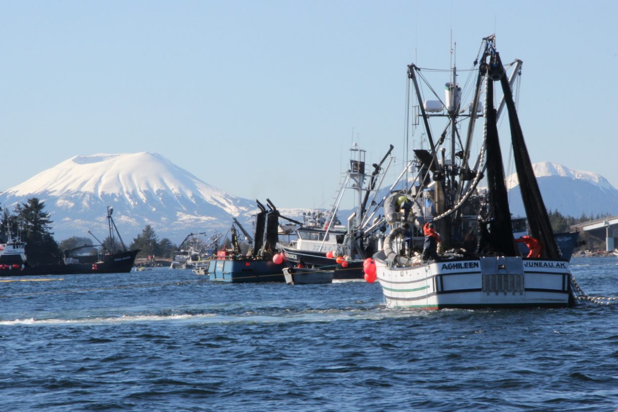 Sitka herring fishery to go on 2-hour notice Friday