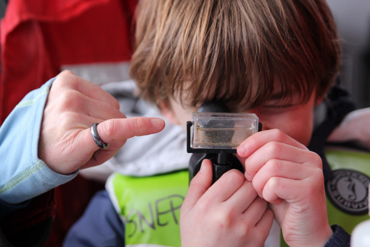 Postcard from Herring Camp: Walking in both worlds