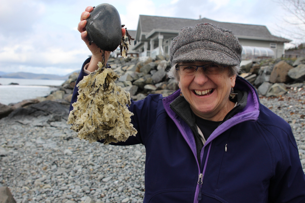 Map: ADF&G reports increase in herring spawn this week