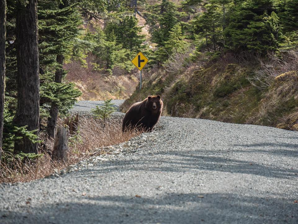 King of the mountain