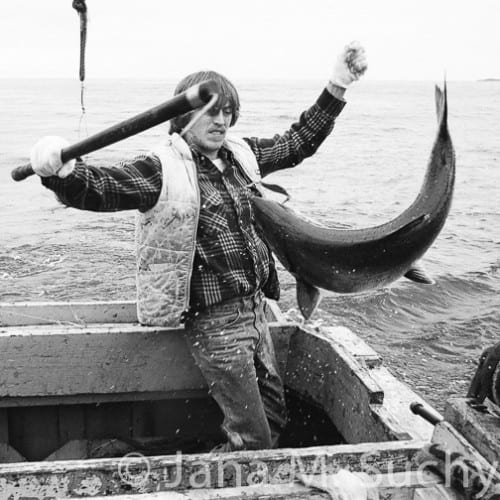 DaveJKings-02910096-2