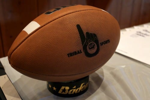 tribalsports_wordpress2