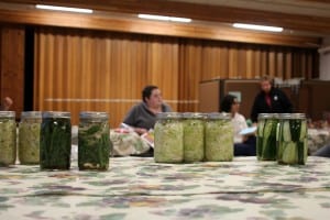 Sitka residents learn how to pickle and ferment fruits and vegetables at Sitka Kitch in mid-July. KCAW photo/Vanessa Walker.