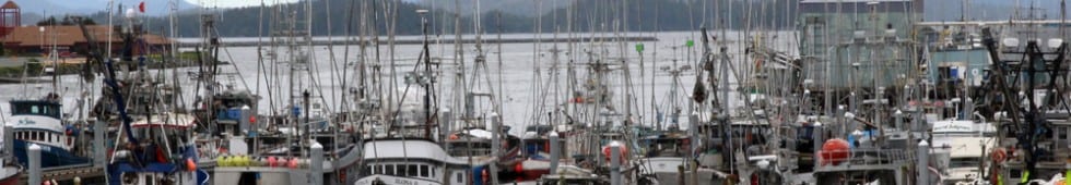 A forest of trolling poles in Sitka's ANB harbor, July 2015. (Rachel Waldholz/KCAW)