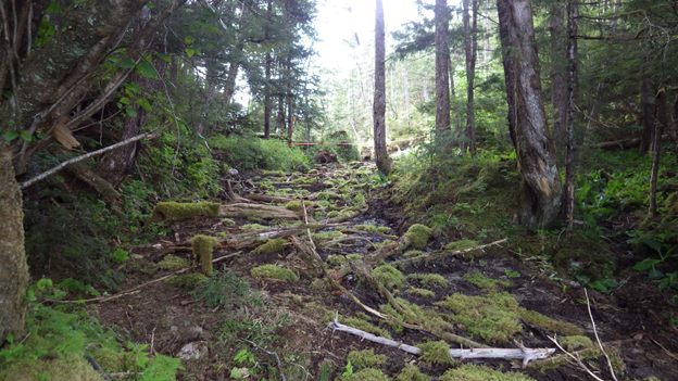 As clean-up ends, Chichagof mine goes wild