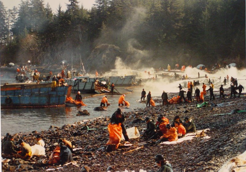 Exploring the ‘sublethal’ effects of oil spills and their aftermath