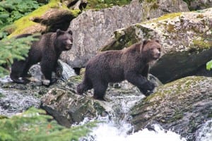 sibling 3 yr olds at hatchery_3015PM (1)