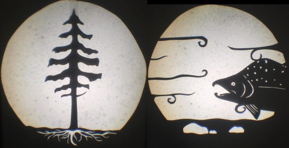 Artist spotlights trees in shadows