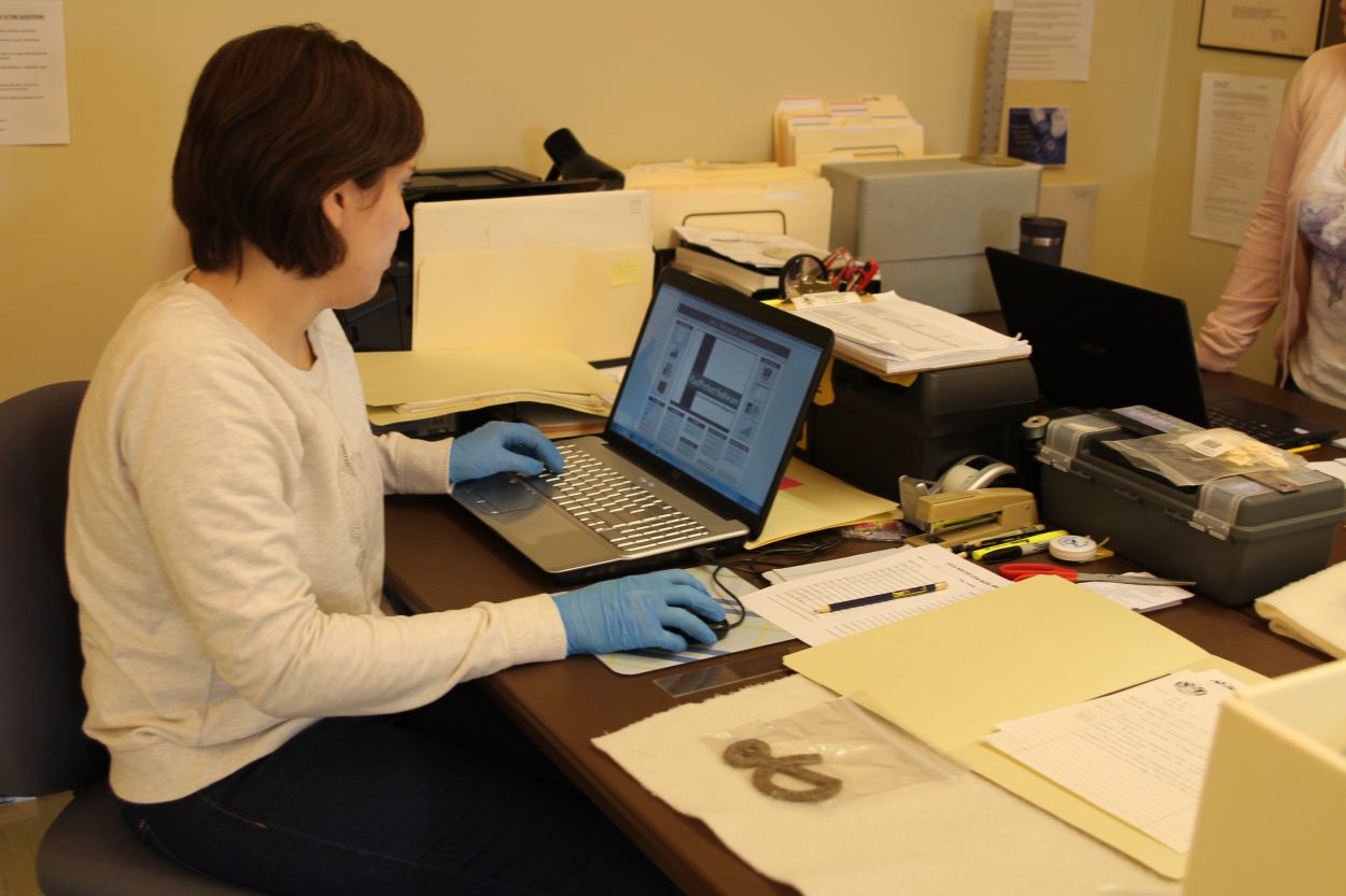 Museum audit focuses collection