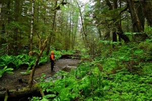 A kayaker takes a break from paddling to walk through the forest on Admiralty Island (Flickr photo/Joseph).